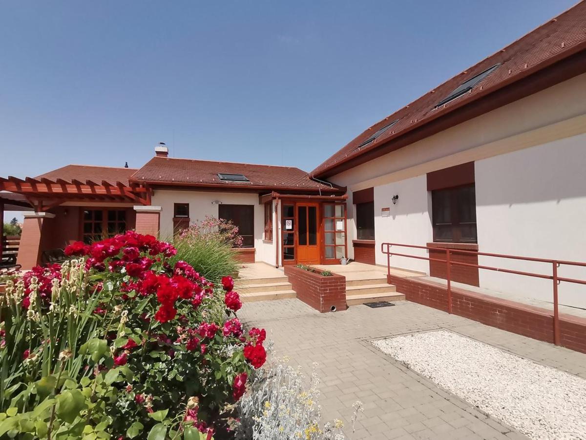 Bed and Breakfast Kamilla Panzio Es Rendezvenyhaz Балмазуйварош Экстерьер фото